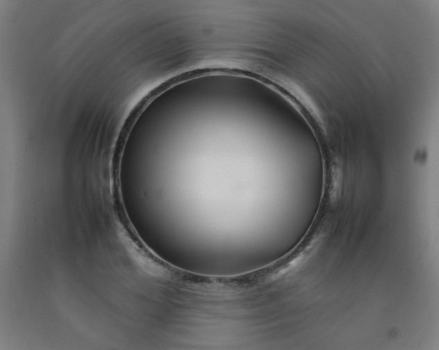 X0000092210980200709281019