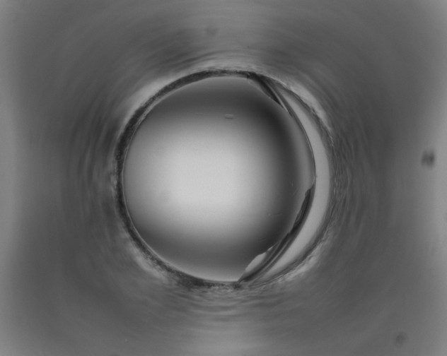 X0000092210981200709281019