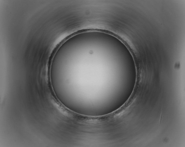 X0000092210982200709281019