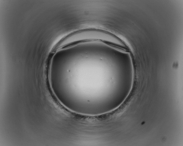 X0000092210983200709281019