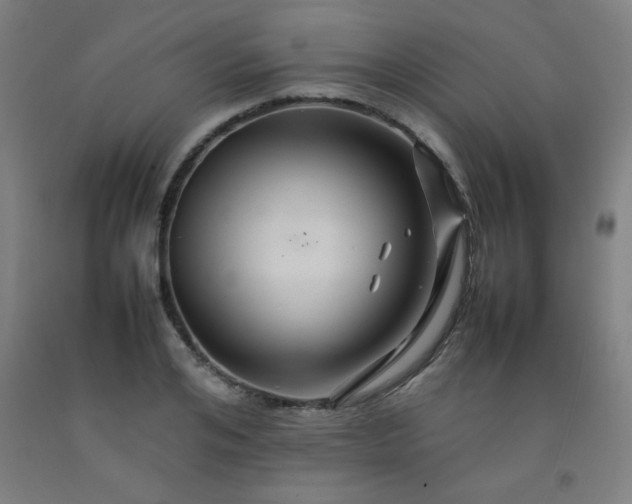 X0000092210984200709281019