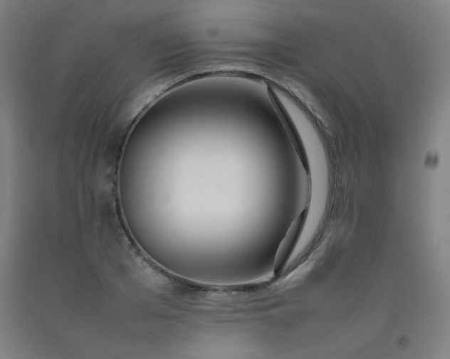 X0000092210985200709281019