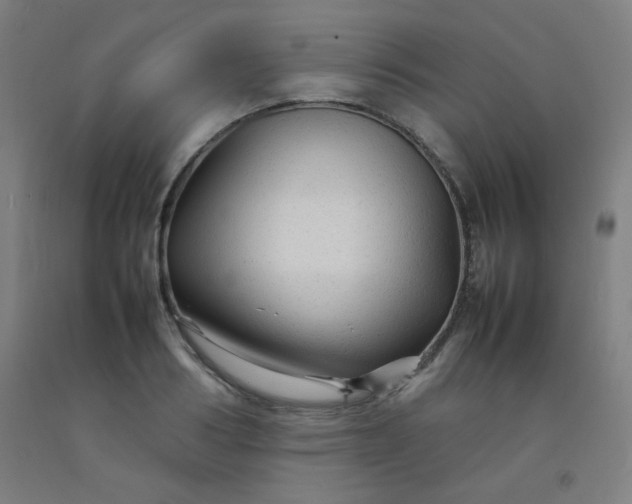 X0000092210986200709281019