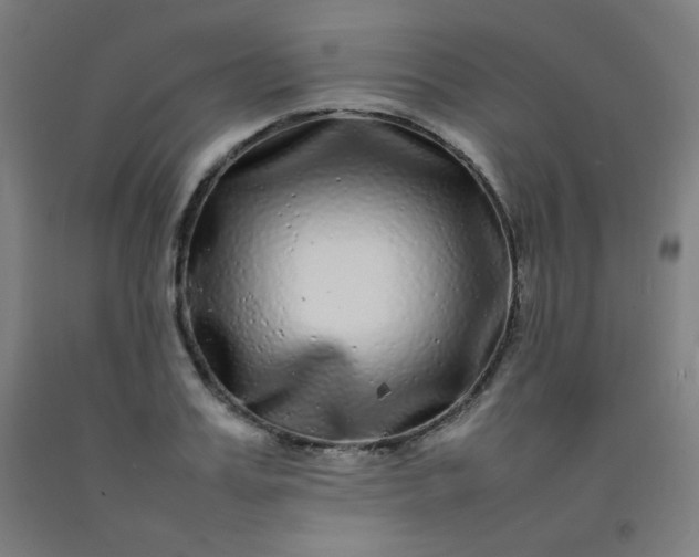 X0000092210987200709281019