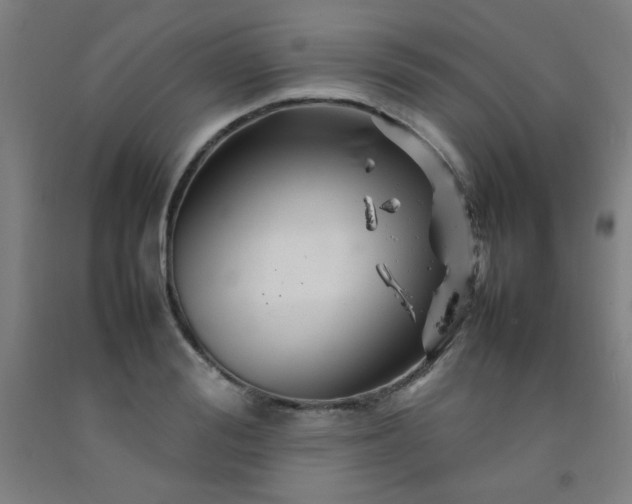 X0000092210988200709281019