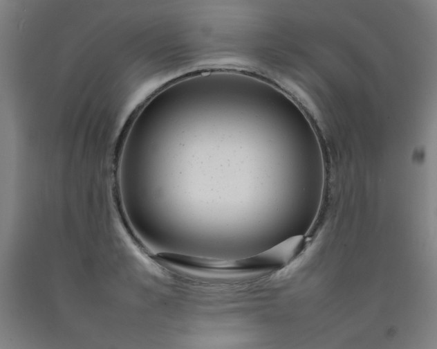 X0000092210989200709281019