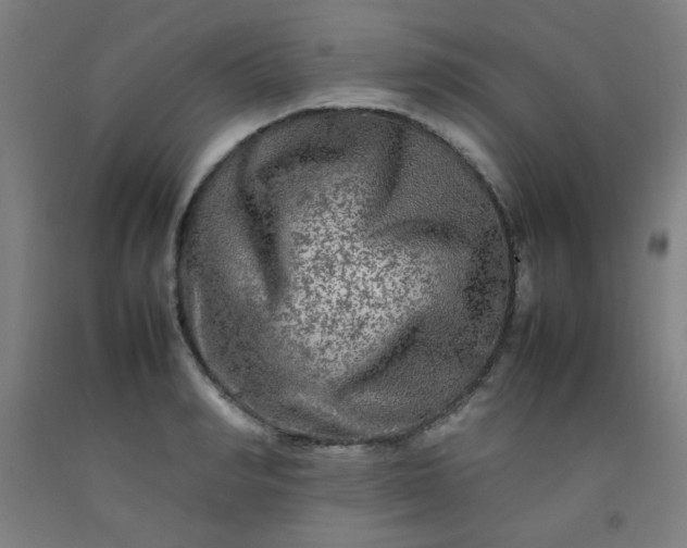 X0000092210990200709281019