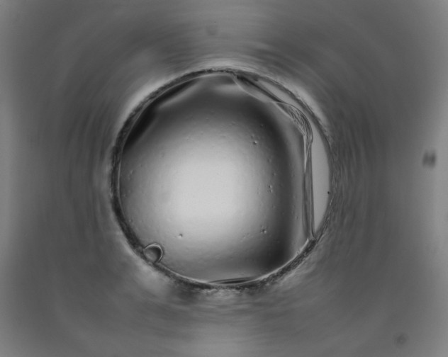 X0000092210991200709281019