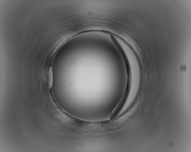 X0000092210993200709281019