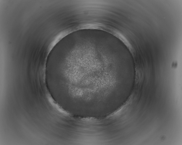 X0000092210994200709281019