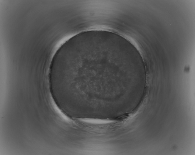 X0000092210995200709281019