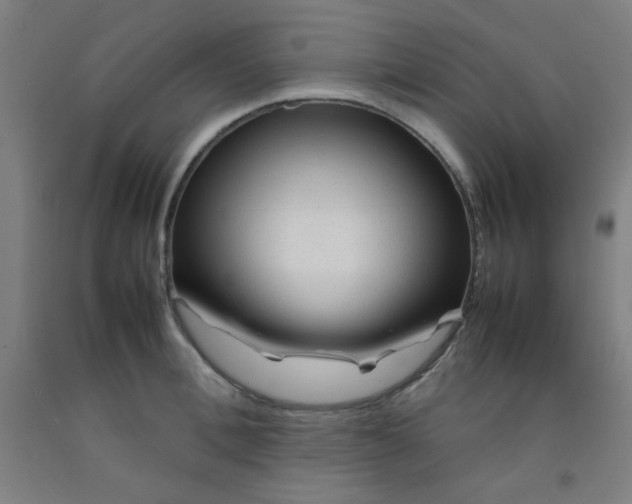 X0000092210996200709281019