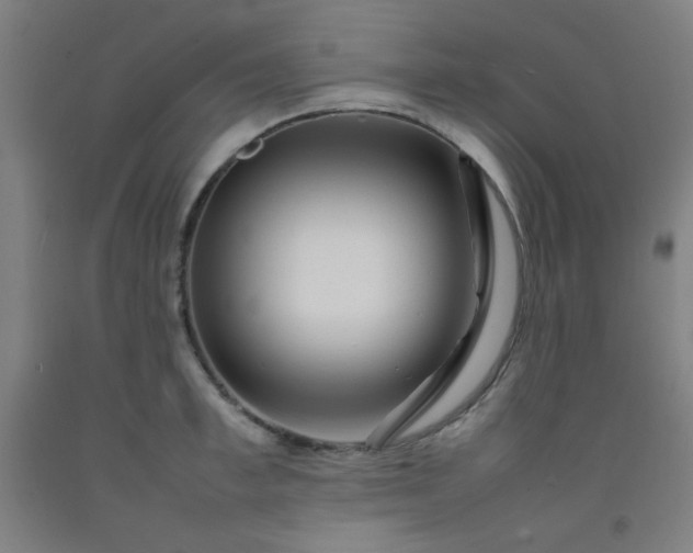 X0000092210997200709281019