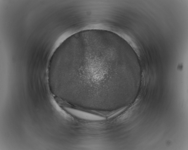 X0000092210998200709281019