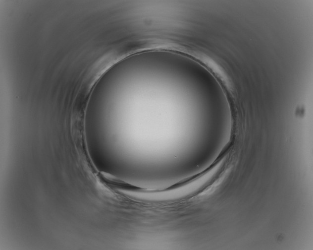 X0000092211001200709281019