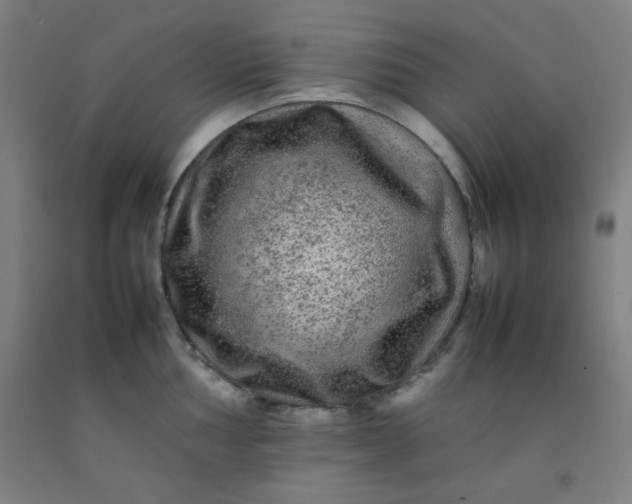 X0000092211002200709281019