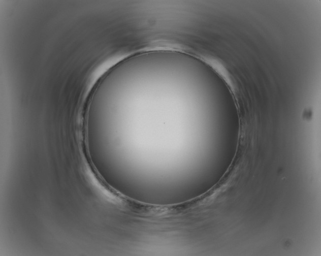 X0000092211003200709281019