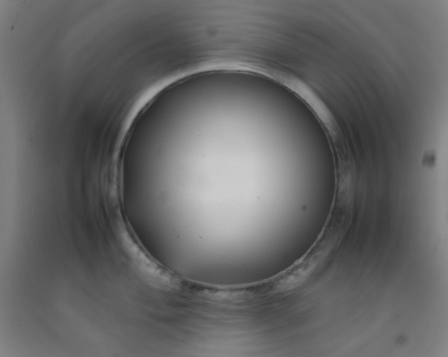 X0000092211004200709281019