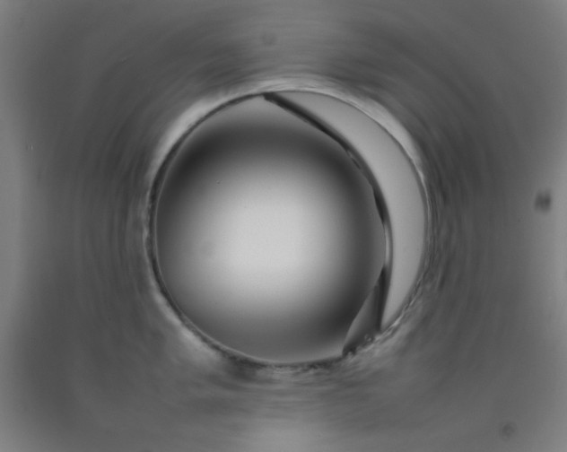 X0000092211005200709281019