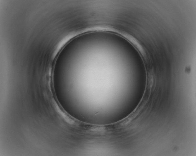 X0000092211006200709281019