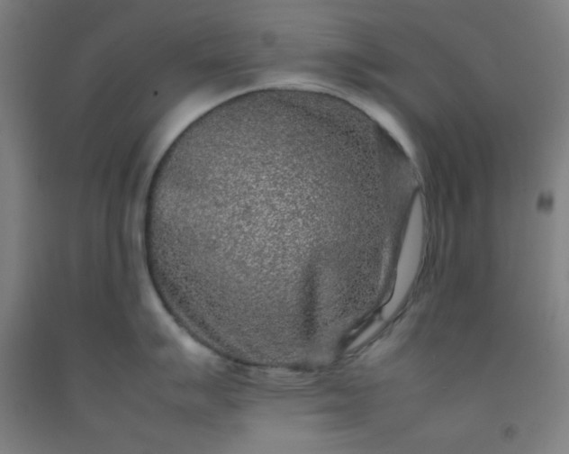 X0000092211007200709281019