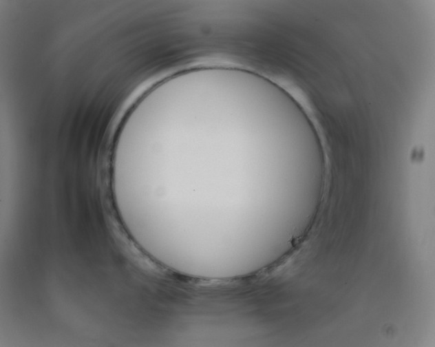 X0000092211008200709281019