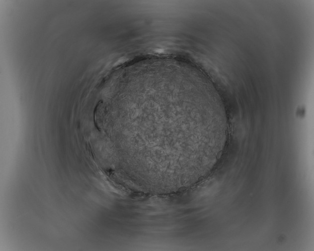 X0000092211009200709281018