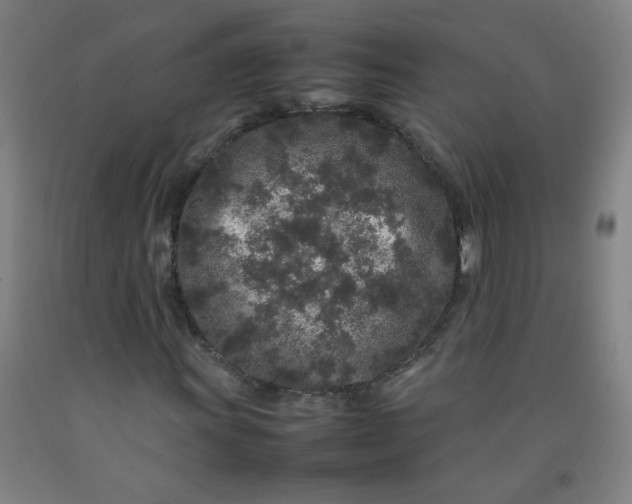 X0000092211011200709281018