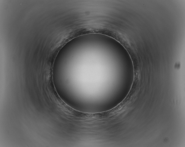 X0000092211012200709281018