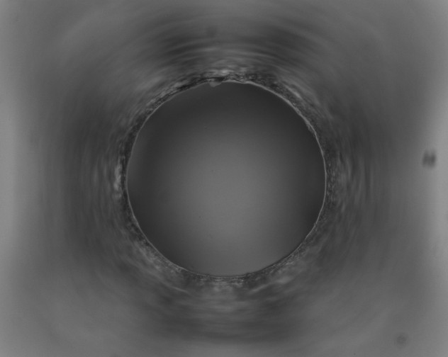 X0000092211013200709281018