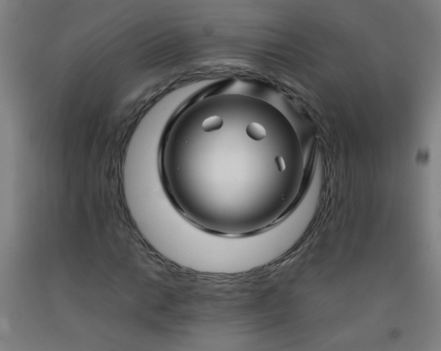 X0000092211014200709281018