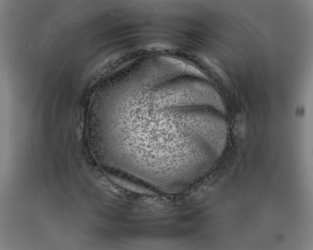 X0000092211015200709281018