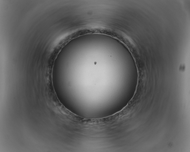 X0000092211016200709281018