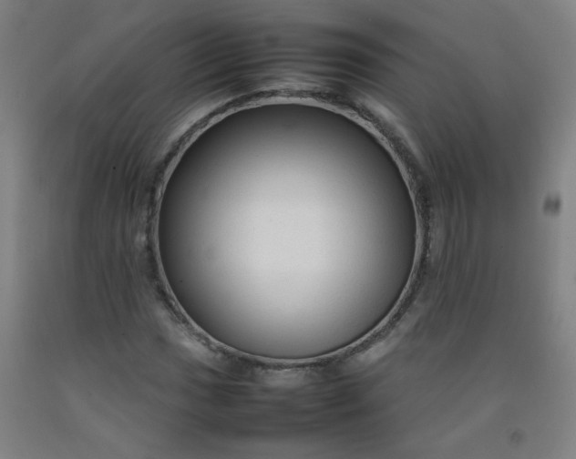 X0000092211017200709281018