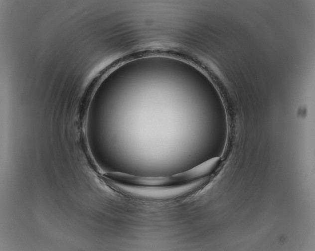 X0000092211018200709281018