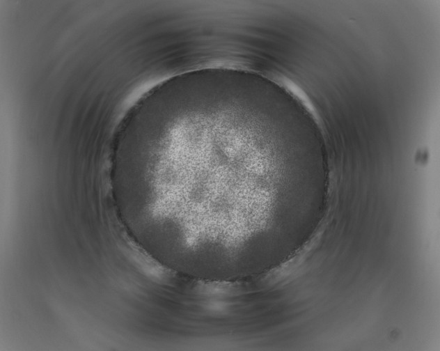 X0000092211019200709281018