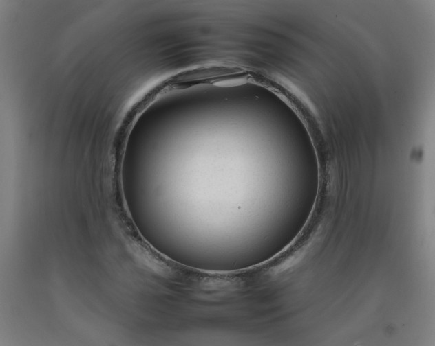 X0000092211021200709281018