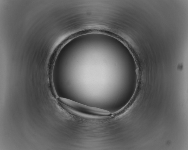 X0000092211022200709281018