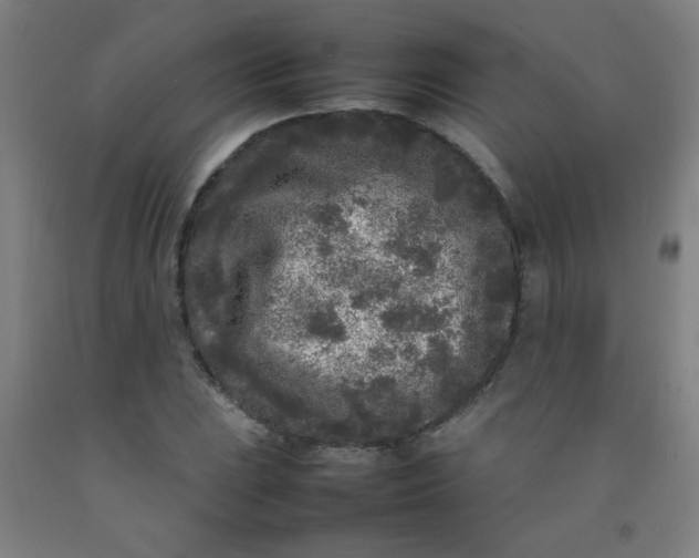 X0000092211023200709281018