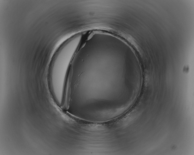 X0000092211024200709281018