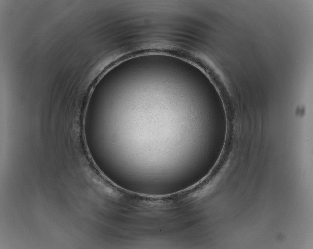 X0000092211025200709281018