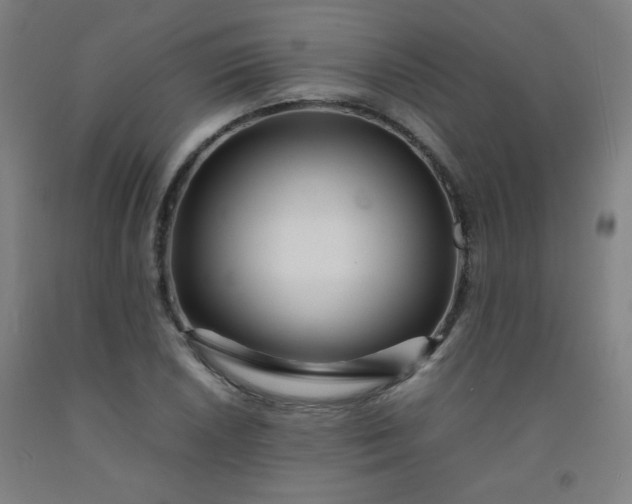 X0000092211026200709281019