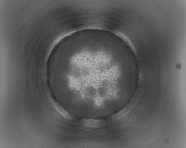 X0000092211027200709281019