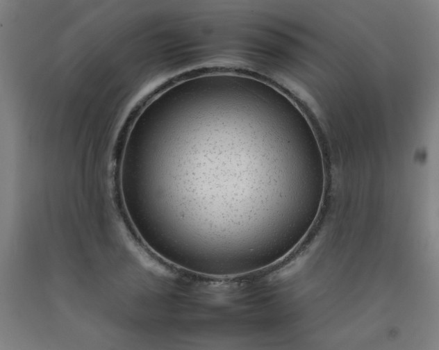 X0000092211029200709281019