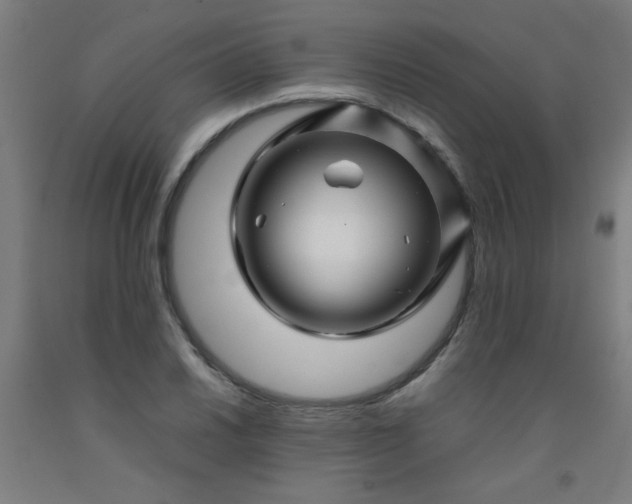 X0000092211030200709281019