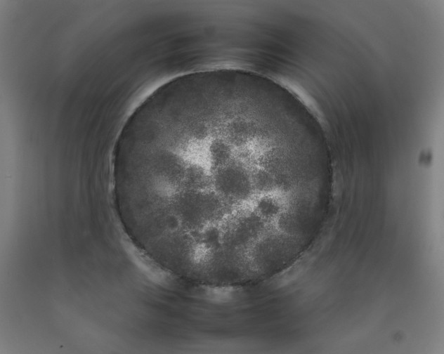 X0000092211031200709281019