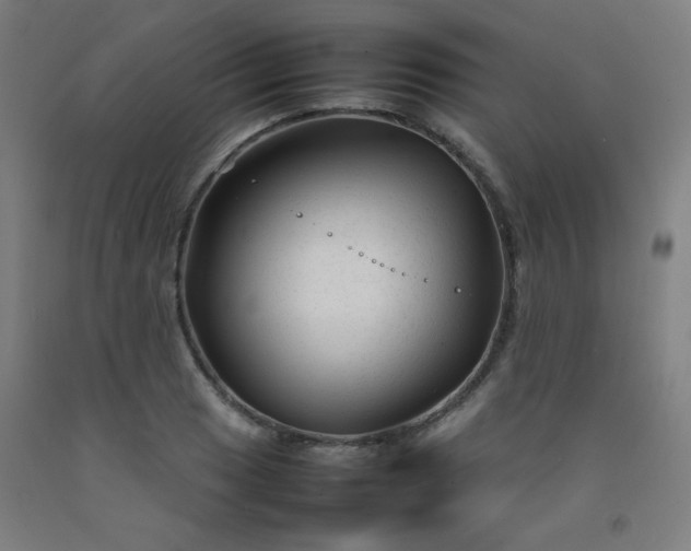 X0000092211033200709281019