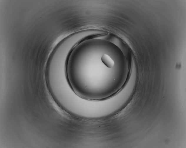 X0000092211034200709281019