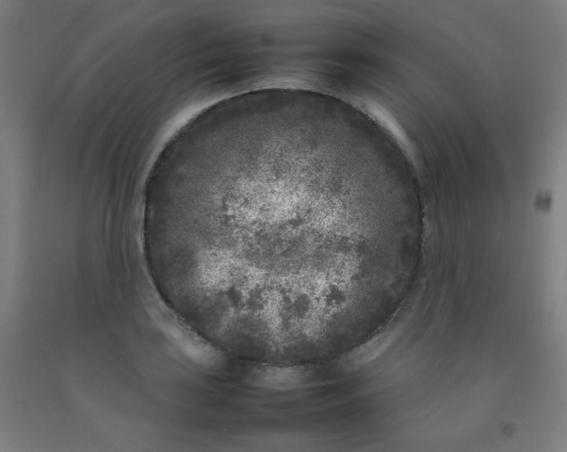 X0000092211035200709281019