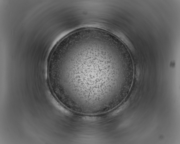 X0000092211036200709281019